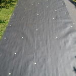 ready for shingles