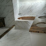 Vanity & Shower