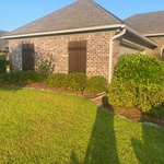 Before trim and mulch