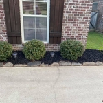 After trim and Black Mulch