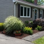 Mulch