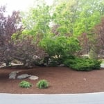 Mulch