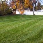 Complete lawn Maintenance