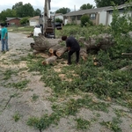 Removal from street
