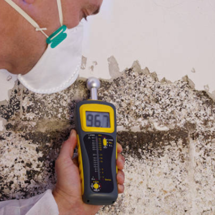 Mold
