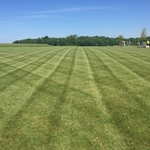 Lawn Mowing