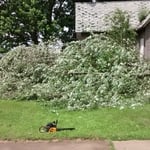 Yard waste