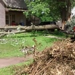 Yard waste