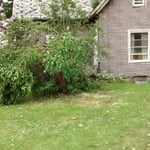 Yard waste