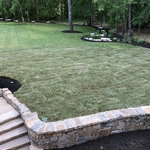 Steps with sod...
