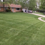 Mowed and Trimmed Lawn