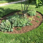 Mulch