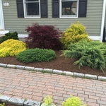 Mulch