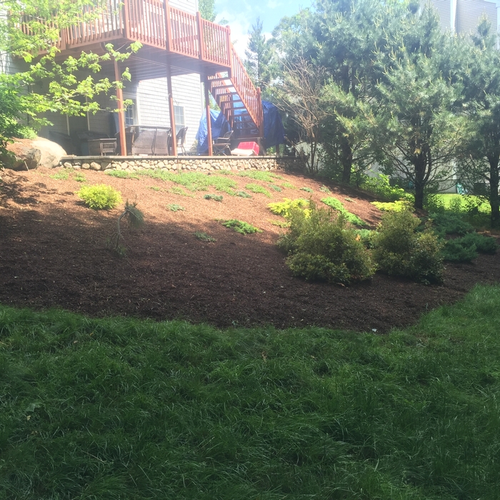 Mulch