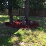 Recent mulching job