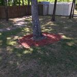 Recent mulching job