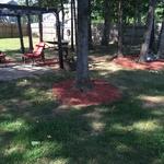 Recent mulching job