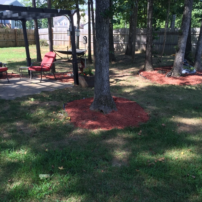 Recent mulching job