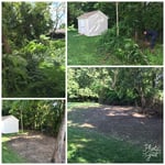 Brush/ clean property line