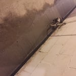 Interior french drain/Competion