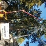 Tree trimming, and remova