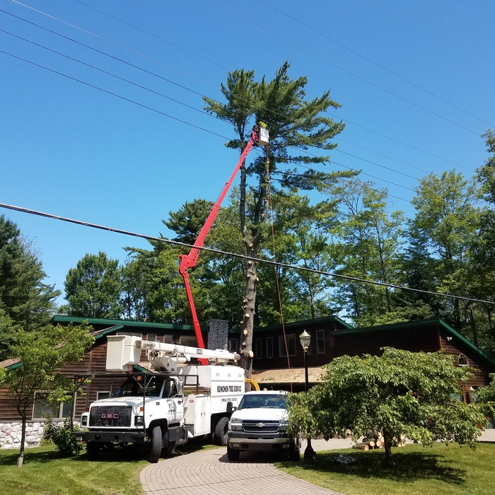 Tree trimming, and remova