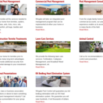 Our Services