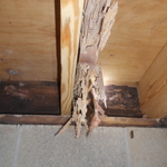Termite Damage - Repairs Made