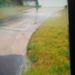 House and driveway