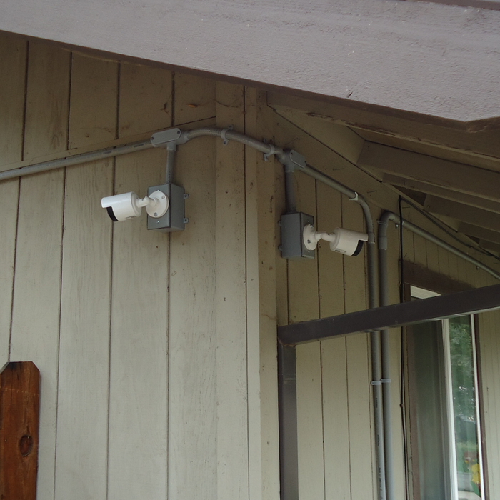 NW corner of house