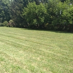 Yard 1 Back