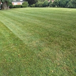 Yard 1 Front