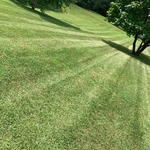Yard 2