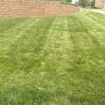 Yard 3