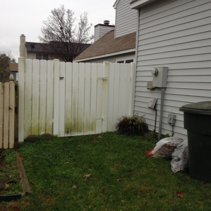 Pressure Wash