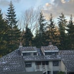 Moss B Ware treatment to kill moss growth on roof
