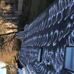 Moss B Ware treatment to kill moss growth on roof