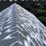 Moss B Ware treatment to kill moss growth on roof