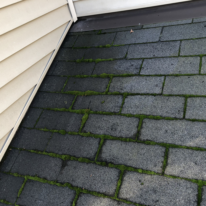 Moderate Moss growth on roof