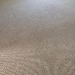 After- Carpet Cleaning