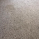 Before-Carpet Cleaning
