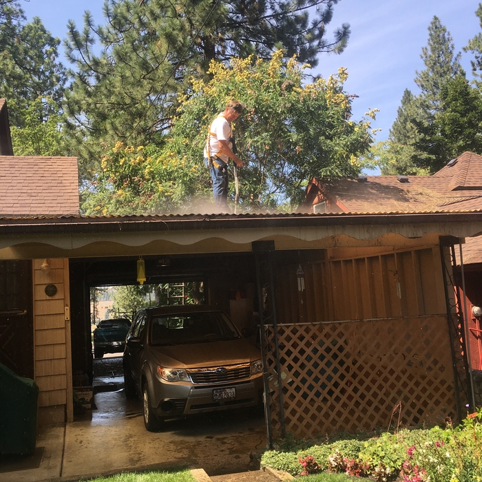 Moss removal