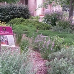 CSU Extension Building