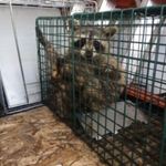 trapped in mobile home