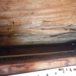 Roof Leak