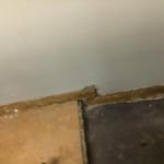 Mold found under tile floor