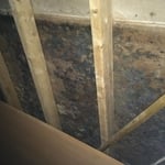 Mold hidden behind walls after an untreated water