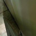 Tile floor has mold forming