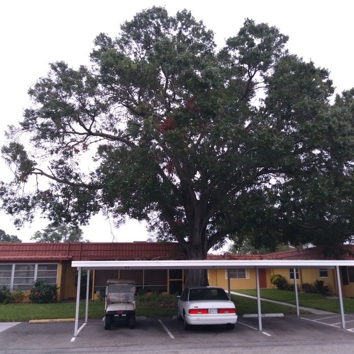 Florida