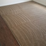 Carpet Cleaning